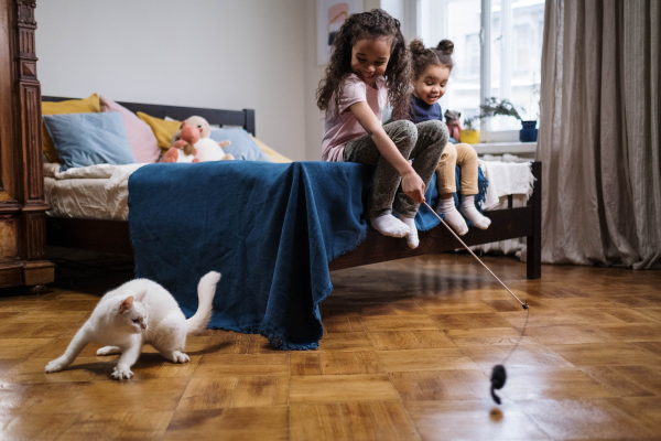 Can Cats Have Schizophrenia? 5 Scary Signs Vets Warn About