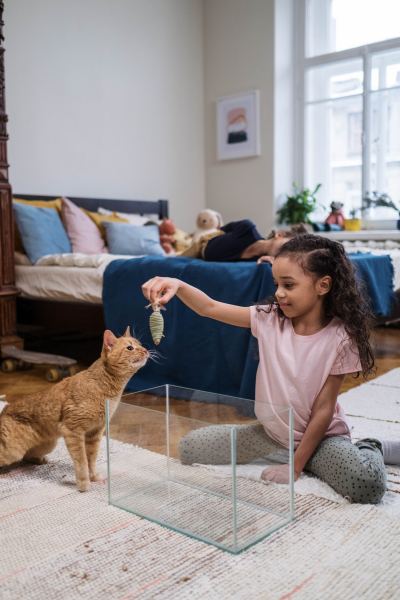 Can Cats Have Schizophrenia? 5 Scary Signs Vets Warn About