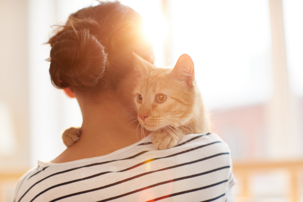 Can Cats Have Schizophrenia? 5 Scary Signs Vets Warn About