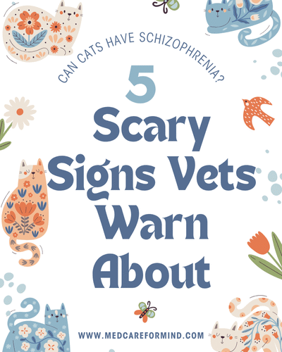 Can Cats Have Schizophrenia? 5 Scary Signs Vets Warn About